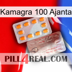 Kamagra 100 Ajanta new13